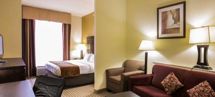 舒适套房酒店-普弗拉热维尔奥斯汀北(Comfort Suites Pflugerville - Austin North)图片