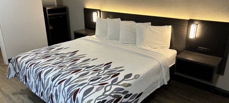 怀尔德伍德红屋顶旅馆 - 佛罗里达州村庄市(Red Roof Inn Wildwood, FL - The Villages)图片