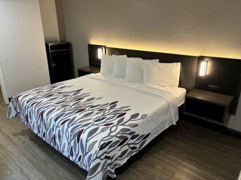 怀尔德伍德红屋顶旅馆 - 佛罗里达州村庄市(Red Roof Inn Wildwood, FL - The Villages)