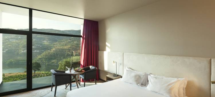 杜罗宫水疗度假村酒店(Douro Palace Hotel Resort & Spa)图片