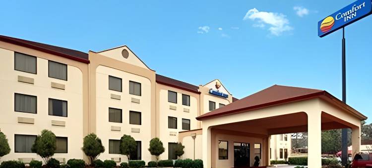 舒适酒店哥伦布近本宁堡(Comfort Inn Columbus Near Fort Moore)图片