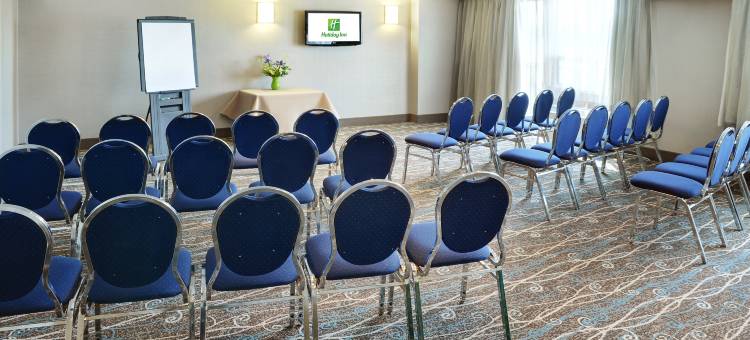 伦敦南假日酒店及套房(Holiday Inn & Suites London South by IHG)图片