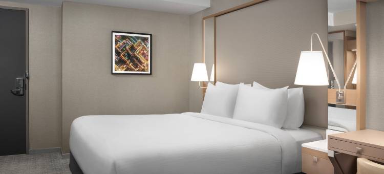 纽约曼哈顿时代广场南万豪春季山丘套房酒店(SpringHill Suites New York Manhattan Times Square)图片