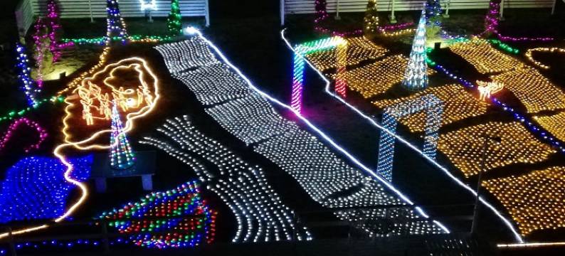 长良天鹅湖酒店(Hotel Swan Lake Nagara)图片