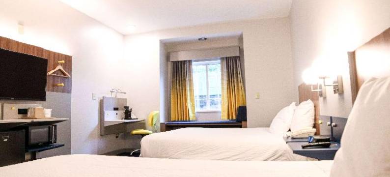 夏洛特/北湖麦客达温德姆酒店(Microtel Inn & Suites by Wyndham Charlotte/Northlake)图片