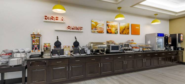 切斯特顿舒适套房酒店(Comfort Inn & Suites Chestertown)图片