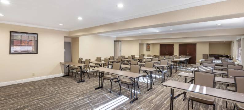 兰花贝斯特韦斯特优质套房酒店(Best Western Plus Orchid Hotel  Suites)图片