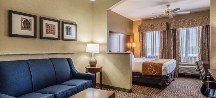 舒适套房酒店-近德州大学(Comfort Suites Near Texas State University)图片