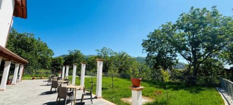 双子珍珠(La Perla dei Gemelli)图片