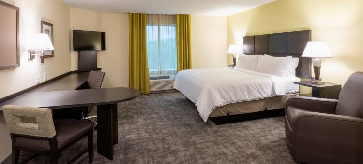 市区医疗中心Candlewood Suites(Candlewood Suites ROCHESTER MAYO CLINIC AREA by IHG)图片