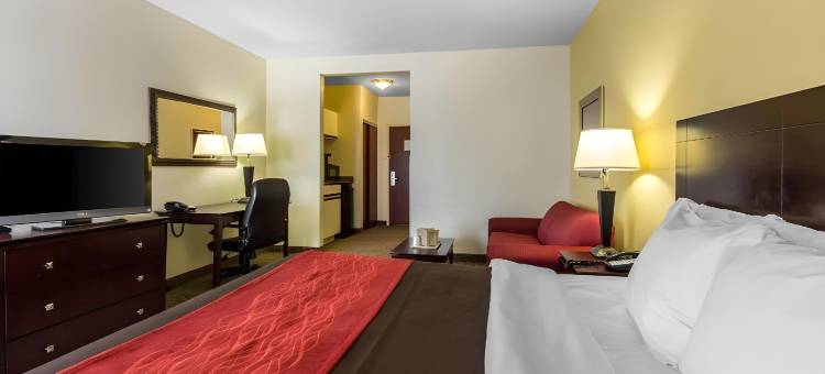 舒适套房酒店(Comfort Inn & Suites)图片