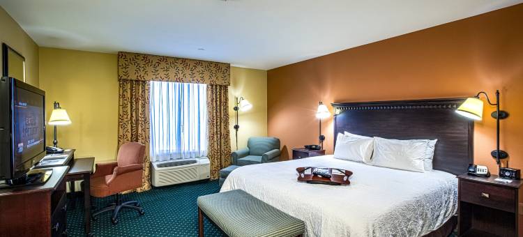 欢朋旅馆&套房酒店萨克拉门托 - 艾克格罗夫中拉古纳I-5(Hampton Inn & Suites Sacramento-Elk Grove Laguna 1-5)图片