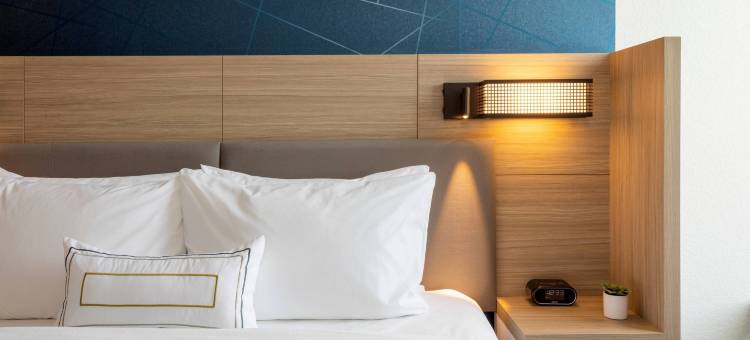 明尼阿波利斯枫林阿伯湖万豪SpringHill Suites酒店(SpringHill Suites Minneapolis Maple Grove/Arbor Lakes)图片