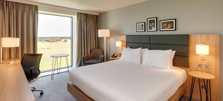 唐卡斯特赛马场希尔顿花园酒店(Hilton Garden Inn Doncaster Racecourse)图片