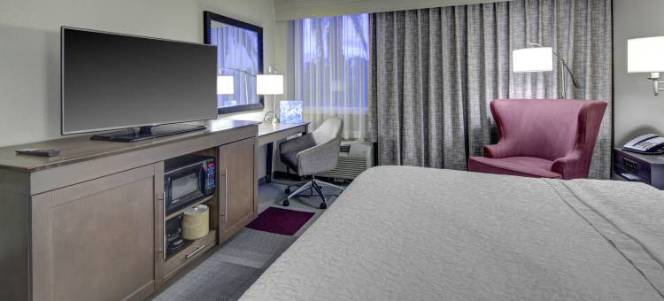 迈阿密椰林珊瑚山墙欢朋酒店(Hampton Inn Miami-Coconut Grove/Coral Gables)图片