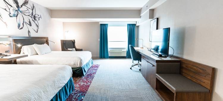 费尔法克斯希尔顿花园酒店(Hilton Garden Inn Fairfax)图片