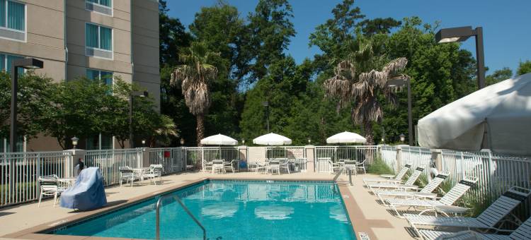 塔拉哈西中央希尔顿花园酒店(Hilton Garden Inn Tallahassee Central)图片