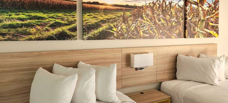 新伊比利亚戴斯套房酒店(Days Inn & Suites by Wyndham New Iberia)图片