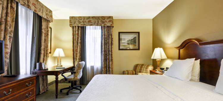 希尔顿欢朋酒店-查尔斯顿历史区(Hampton Inn Charleston-Historic District)图片