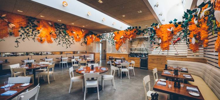 本顿维尔 21c 博物馆酒店(21C Museum Hotel Bentonville)图片