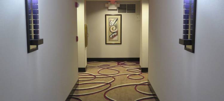 哈拉斯乔利埃娱乐场酒店 - 凯撒奖励目的地(Harrah's Joliet- A Caesars Rewards Destination)图片