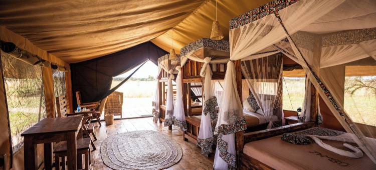 非洲Safari Serengeti Ikoma(Africa Safari Serengeti Ikoma Camping)图片