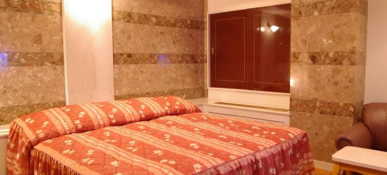 美好酒店-Olive堺(Hotel Fine Olive Sakai)图片