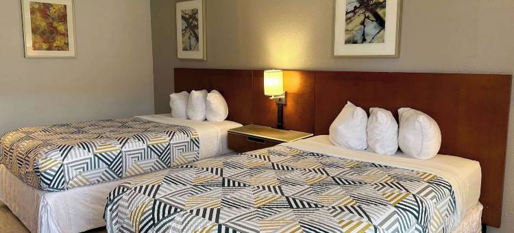 阿肯色州福雷斯特城 6 号汽车旅馆(Motel 6 Forrest City AR)图片