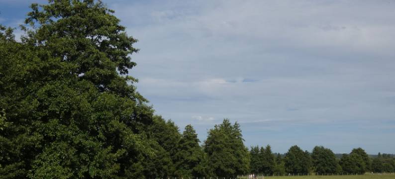 波特莱维克(Hôtel de France)图片