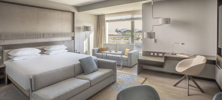 阿尔及尔机场凯悦酒店(Hyatt Regency Algiers Airport)图片