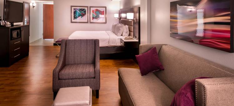 博蒙特广场I-10-瓦尔登假日套房酒店(Holiday Inn & Suites Beaumont-Plaza (I-10 & Walden))图片