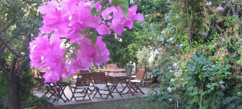 古籁酒店(Hotel Gulec)图片