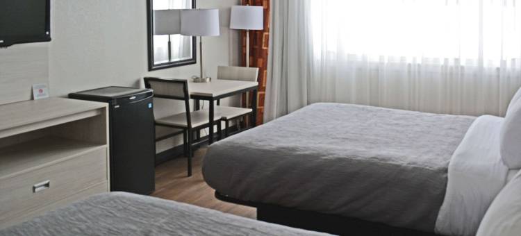 东锡拉丘兹品质酒店和套房 - 运载人圆圈(Quality Inn & Suites East Syracuse - Carrier Circle)图片