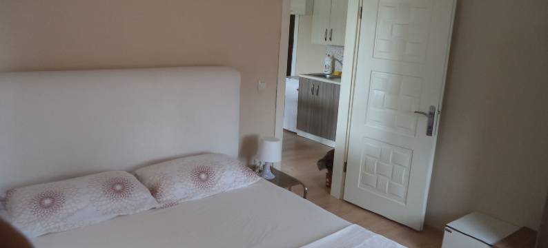 卡拉阿加奇绿色(Karaagac Green Edirne)图片