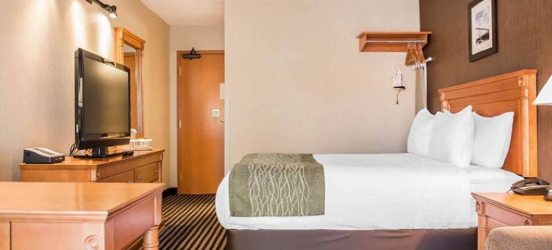 舒适酒店(Comfort Inn)图片