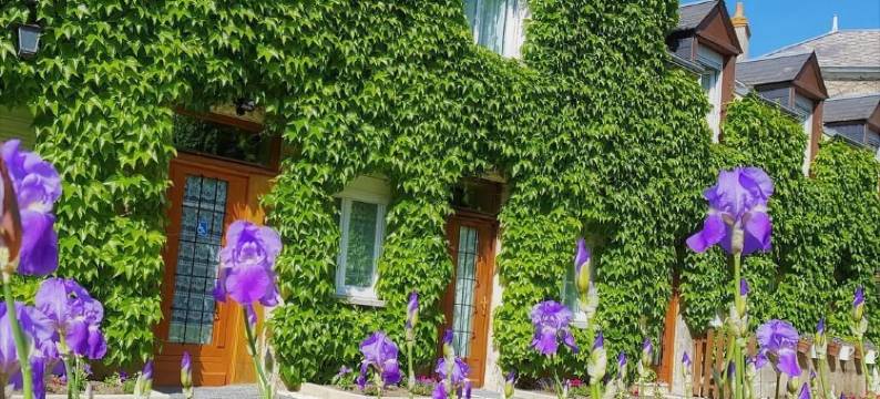 博让西酒店(Le Beaugency)图片