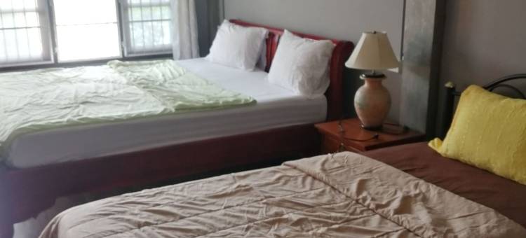 月听旅馆(Yotin Guest House)图片
