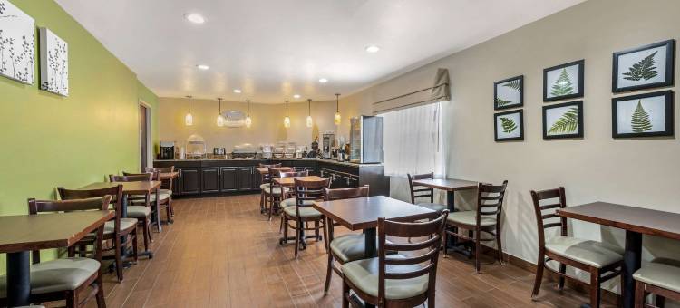 舒眠酒店内珀维尔 - 芝加哥(Sleep Inn Naperville - Chicago)图片