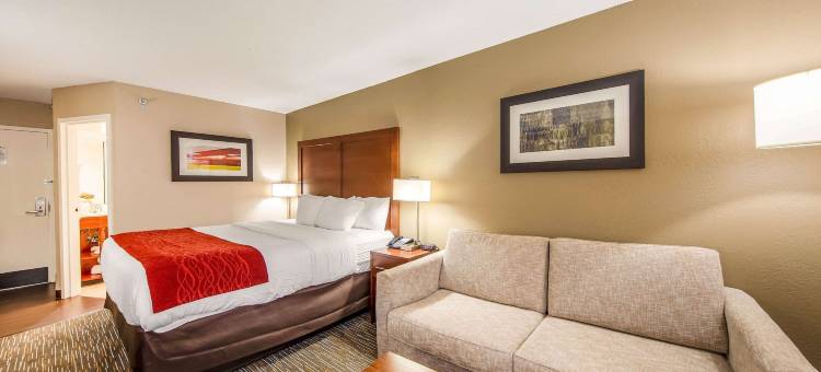 格林维尔海伍德购物中心舒适酒店(Comfort Inn Greenville - Haywood Mall)图片