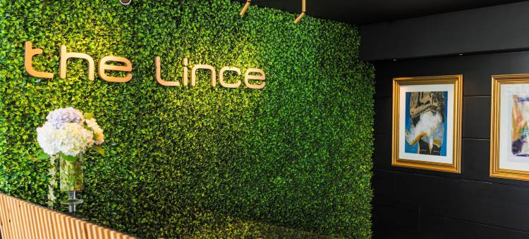 林塞亚速尔群岛大酒店(The Lince Azores)图片