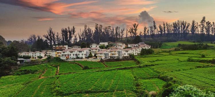 拉弗洛拉安伯利度假酒店(Mango Hill Shola Ooty)图片