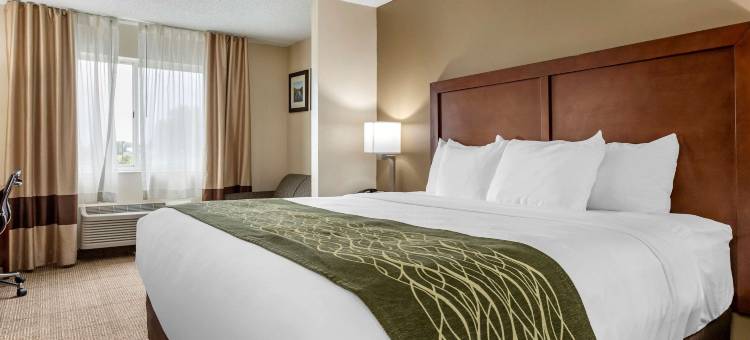 迪蒙代尔舒适套房酒店(Comfort Inn & Suites Dimondale - Lansing)图片