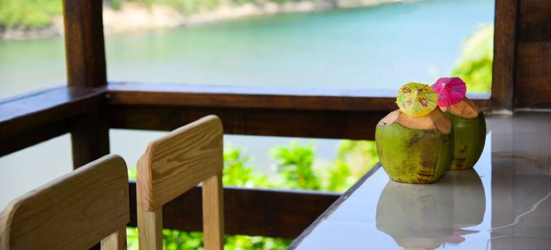 香料湾套房酒店(Spice Bay Suites)图片