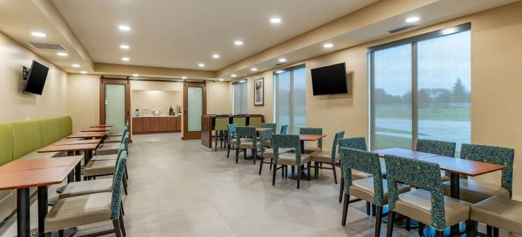 西德梅茵舒适套房酒店(Comfort Inn & Suites West des Moines)图片