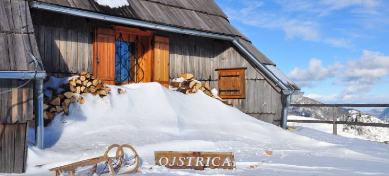 科卡欧吉斯特里卡 - 威力卡普拉妮娜酒店(Koča Ojstrica - Velika Planina)图片