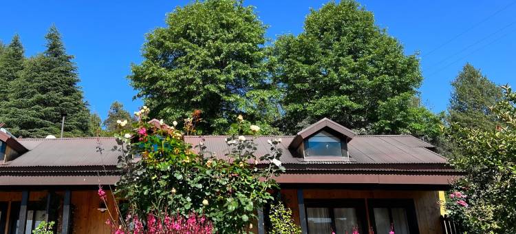 孔雀石庄园(Malachite Manor)图片