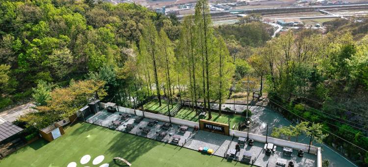 肯辛顿忠州假日酒店(Kensington Resort Chungju)图片