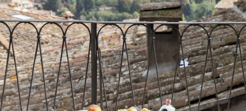 波尔盖斯时代宫住宅酒店(Residenza d'Epoca Palazzo Borghesi)图片