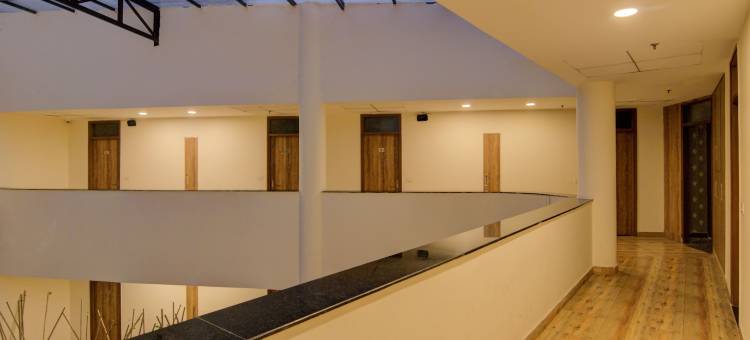 Treebo 托克(Treebo Torque)图片