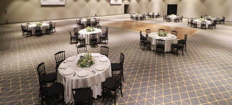 Holiday Inn 圣路易斯波托西 - 堂吉诃德(Holiday Inn San Luis Potosi-Quijote)图片